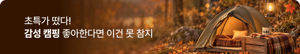 초특가 떴다! 감성 캠핑 좋아한다면 이건 못 참지